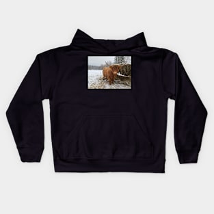 Young Highland  Cattle Cow and half eaten hay bale on a feeder Kids Hoodie